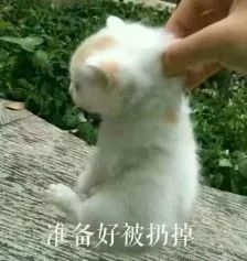 手串盘坏了别扔说不定价值上万,手串盘了两周之后用什么刷子好