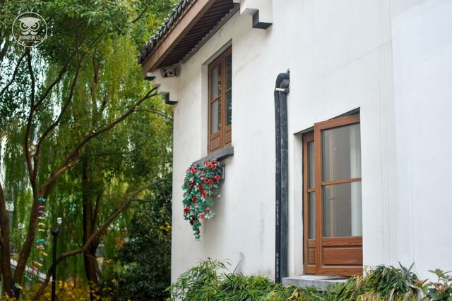 魔都出发1h，我被领着带到了一个卧虎藏龙的地方……