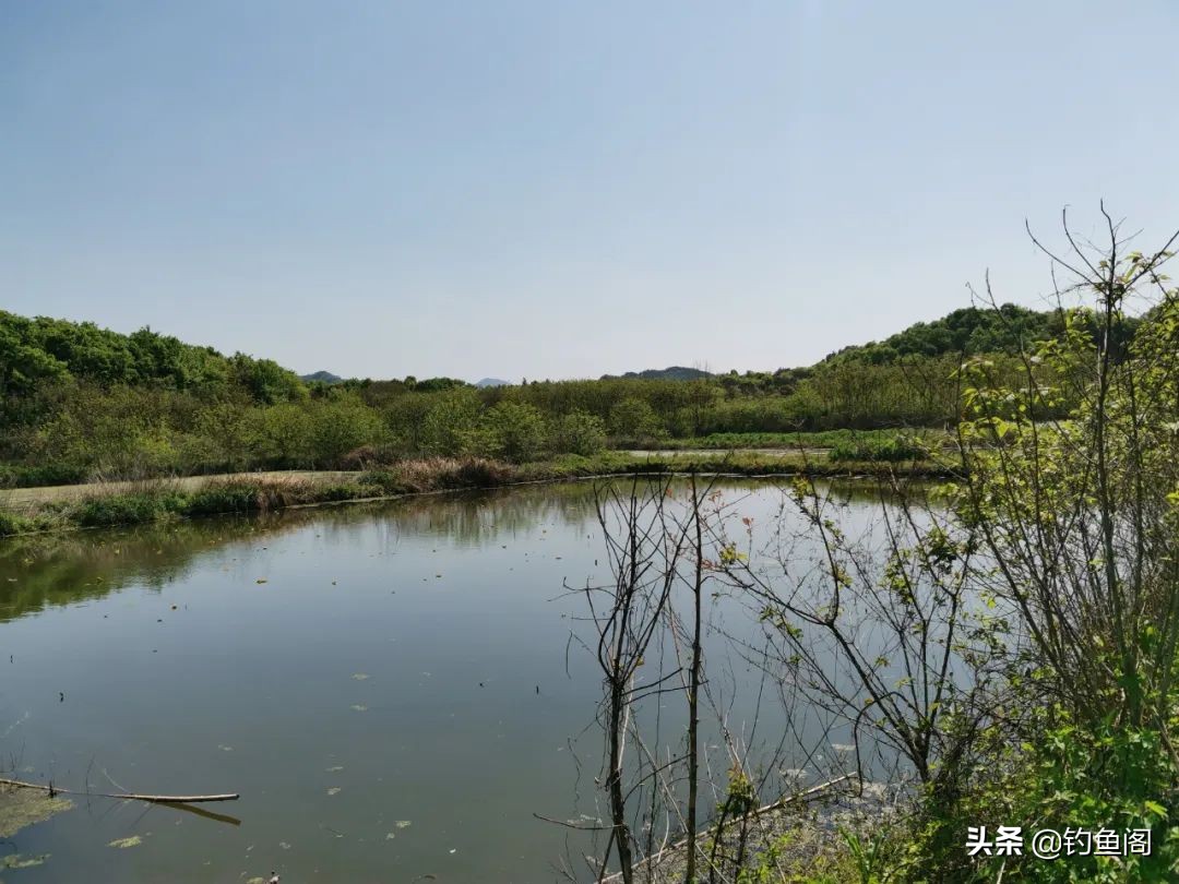 大鱼水深好钓还是水浅好钓,钓大鱼一般钓几米深水