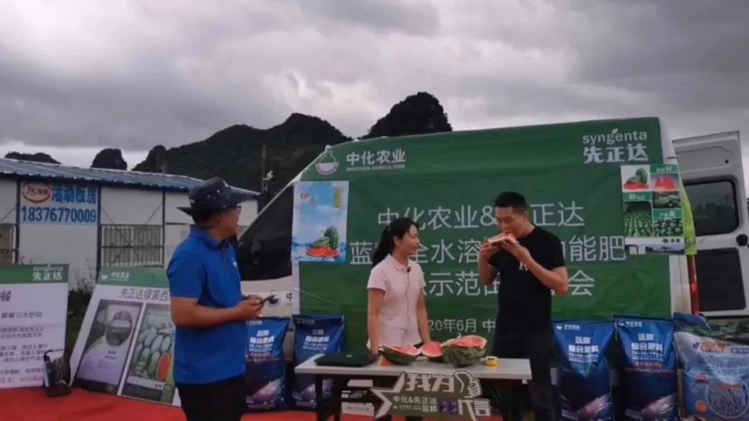 什么品种的西瓜长得最重,15公斤西瓜品种介绍