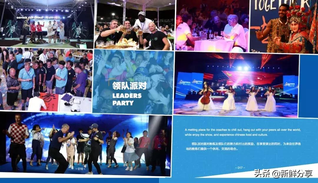 哥德杯世界青少年足球赛,国际青少年足球大赛在哪里举办