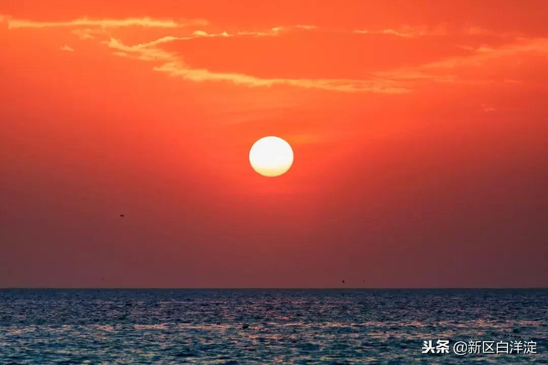 白洋淀纪事真实故事,真实的白洋淀传说