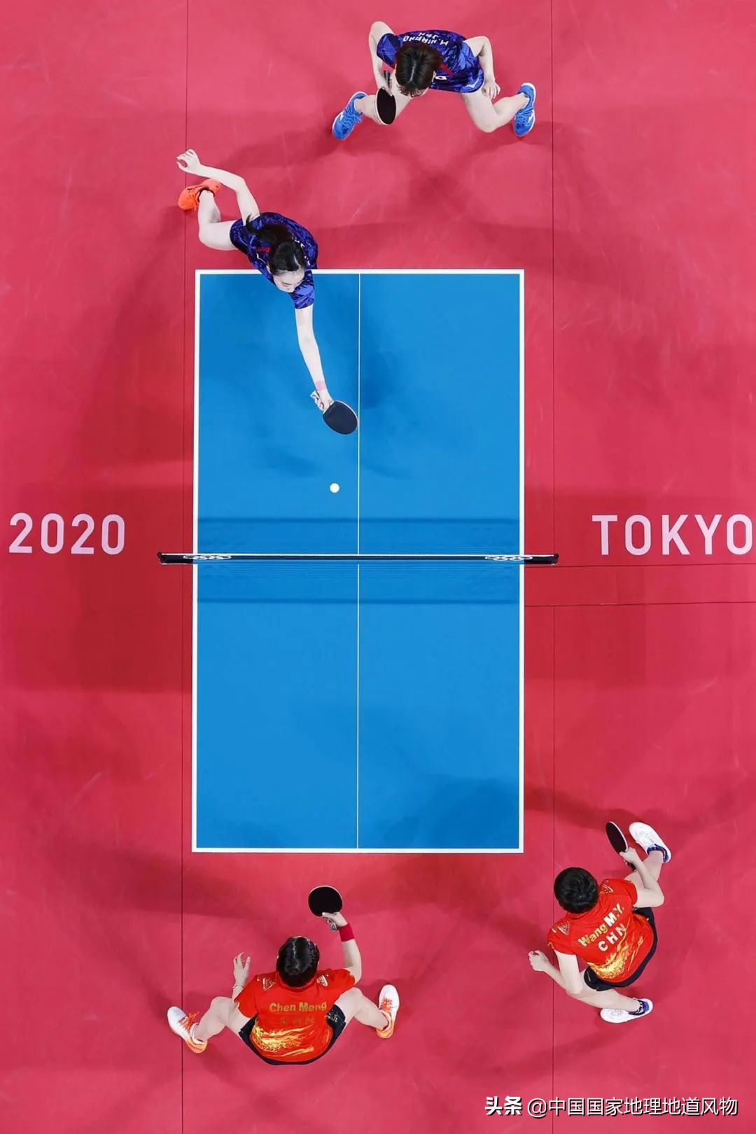 中国奥运冠军最多的是哪个城市,盛产奥运冠军的浙体院