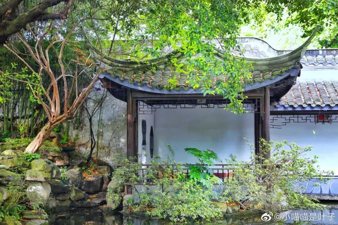 成都值得去的免费景点,成都景点小众游乐场