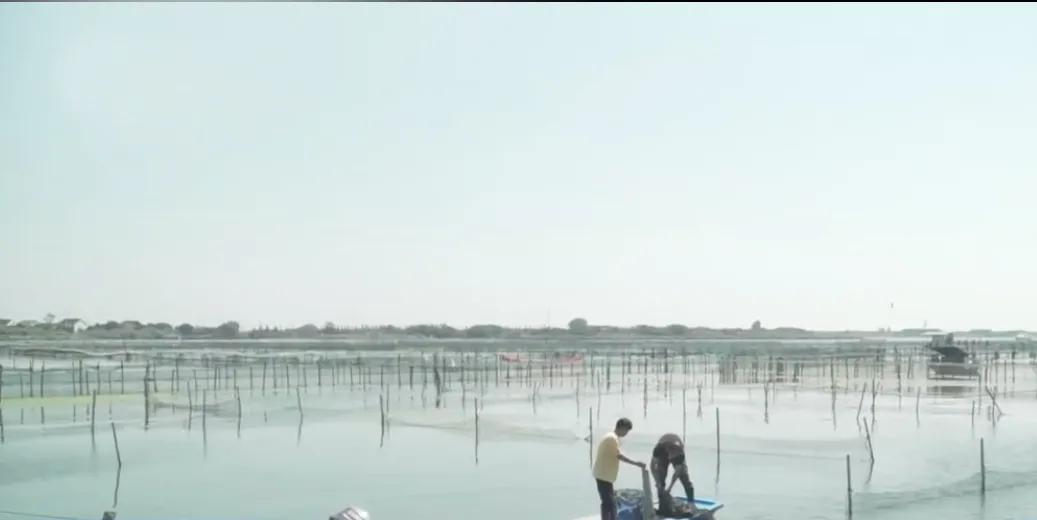 空手赚贰百万,三万赚一千万的期货经历