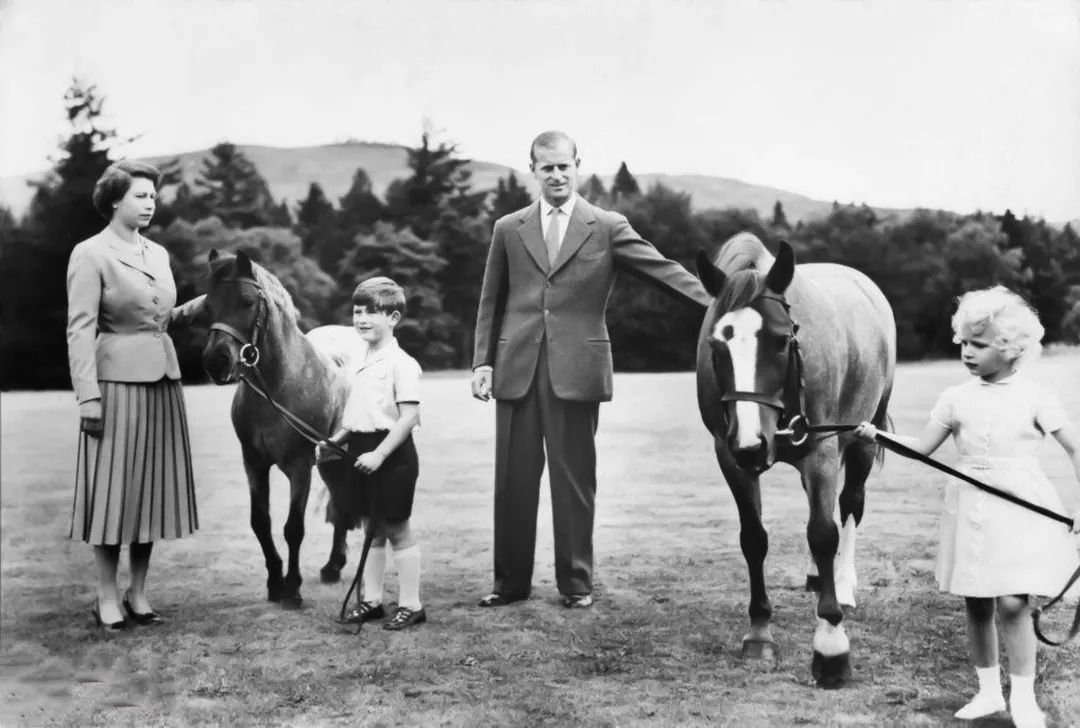 安妮公主宠爱查尔斯王子,安妮公主宠爱哈里