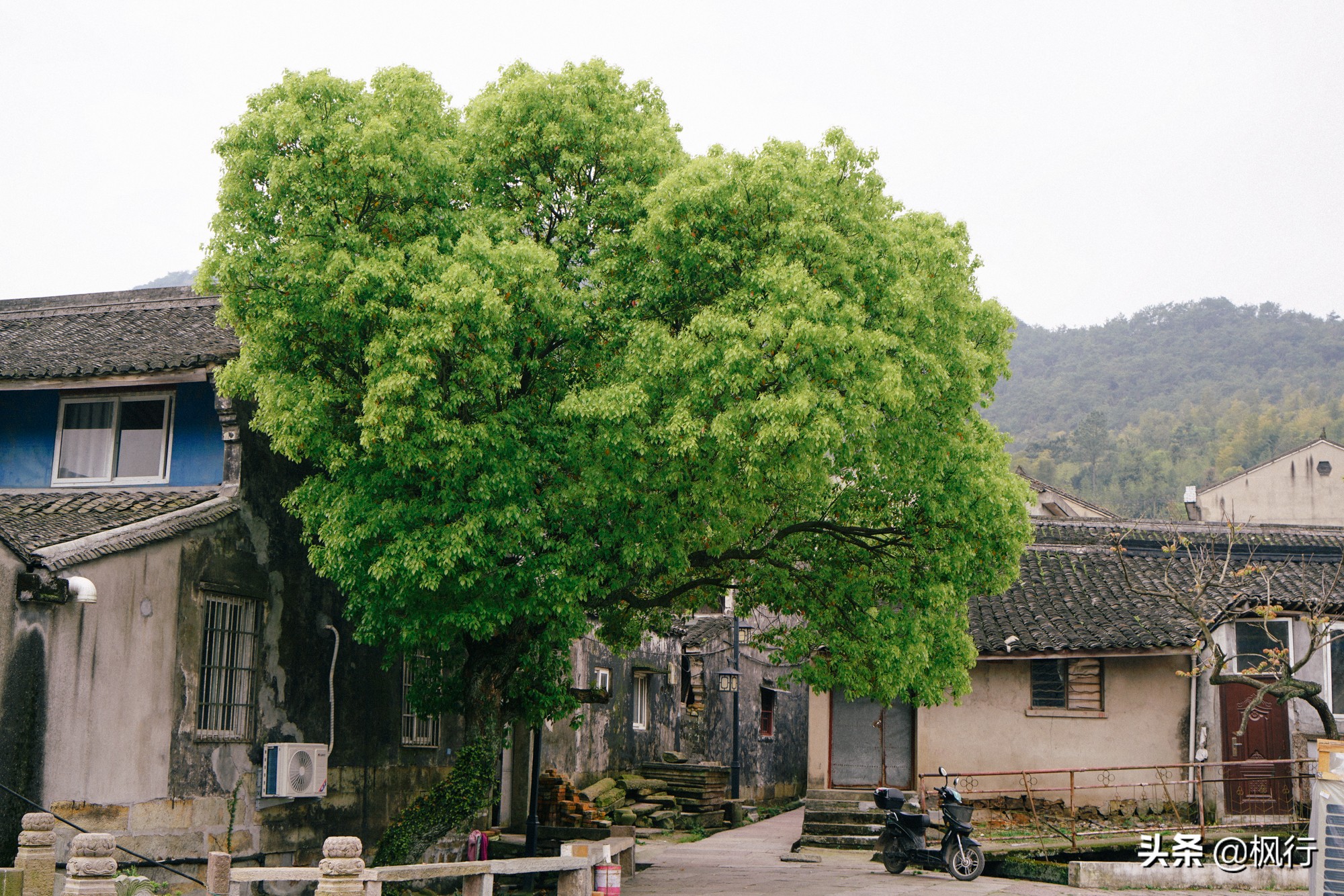 东钱湖浙东,宁波东钱湖横岭老街