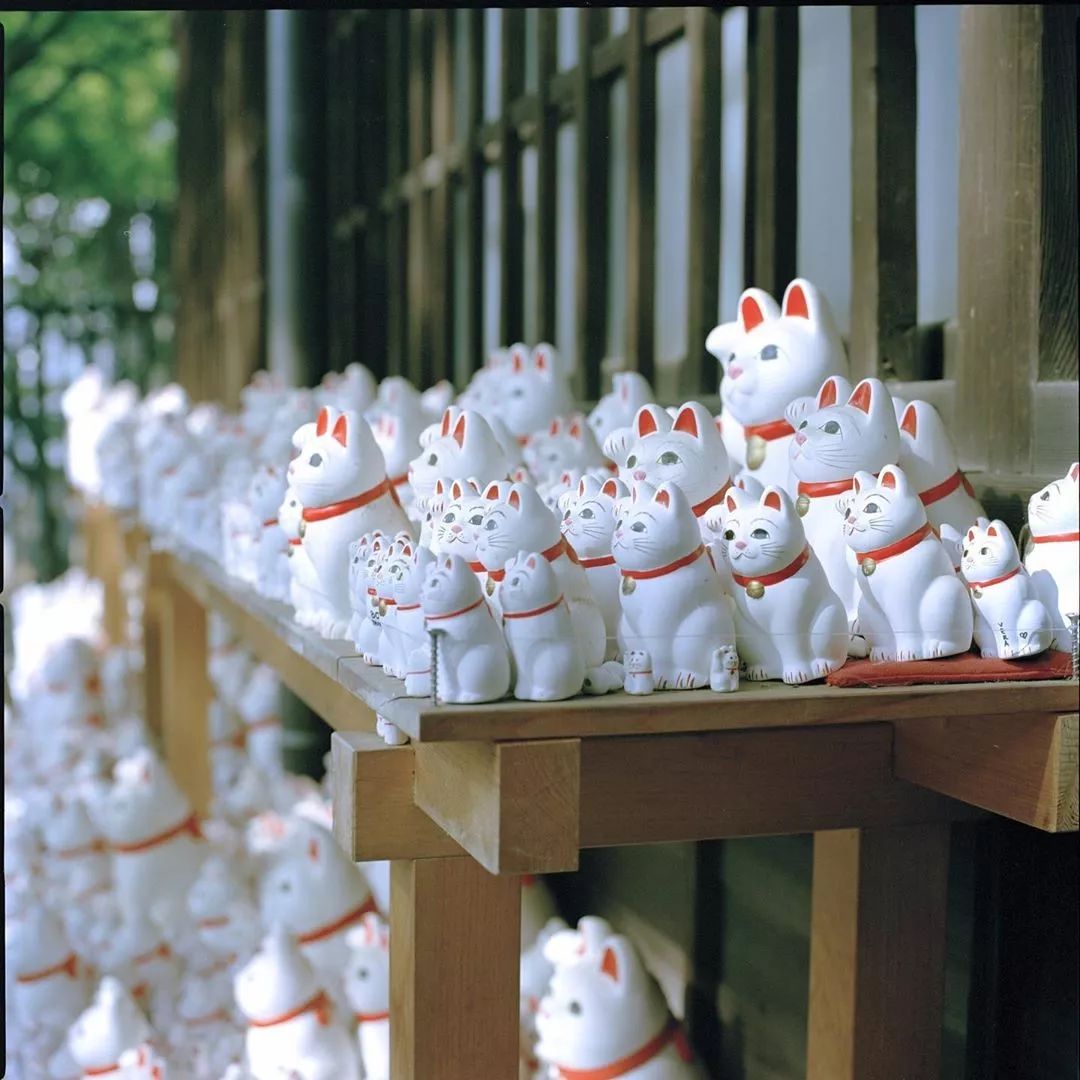 东京自由行最佳攻略详细,东京5日自由行攻略