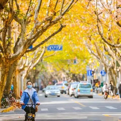 西安的路歌曲,西安的路方方正正