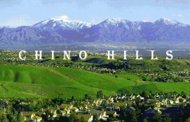 欧气满满一整年,欧气满满首付多少