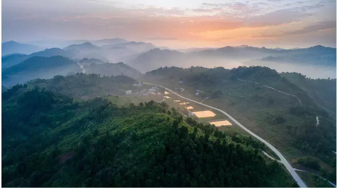 全球最大的城市森林公园,全球最绿色的城市