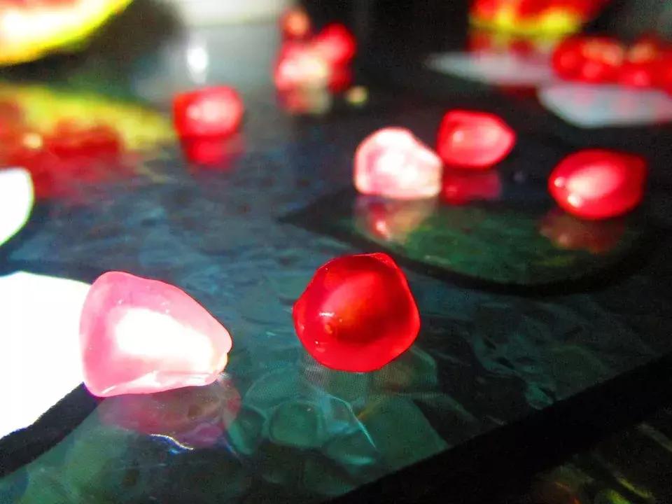 习惯养成性格决定命运你如何理解,习惯决定性格性格决定命运