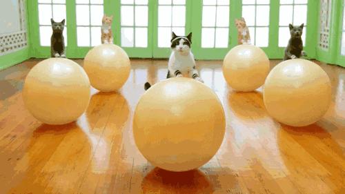 成都哪个瑜伽馆比较适合零基础的,成都郫县团结瑜伽馆