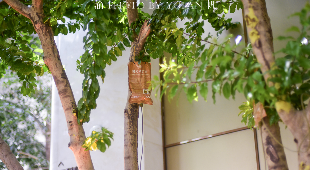 重庆来福士俱乐部自由行热门攻略,重庆来福士游玩时间