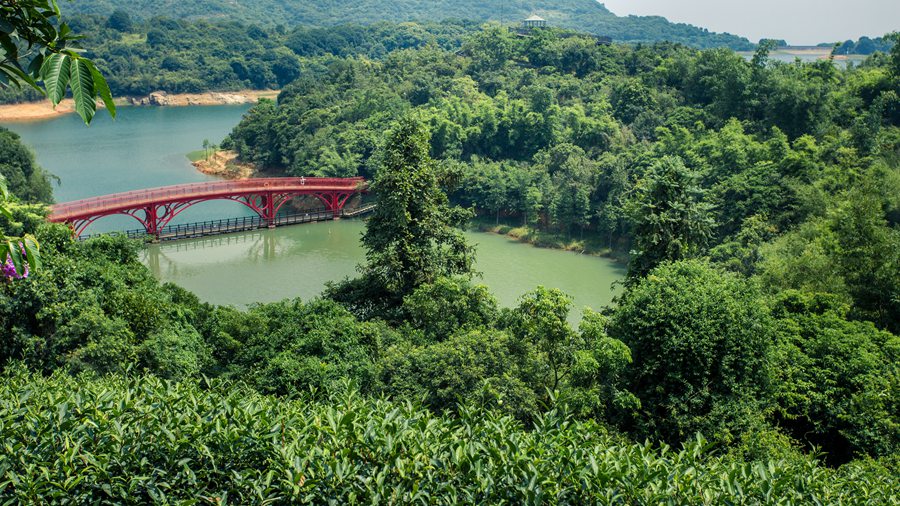 东部华侨城大峡谷瀑布门票特价,东部华侨城大侠谷瀑布