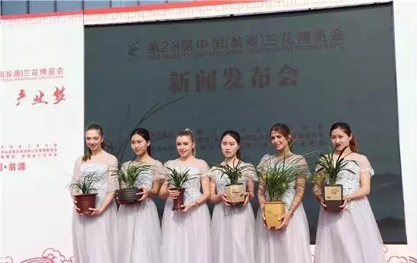 兰花品种大全精品兰花,兰花新品种老品种价值