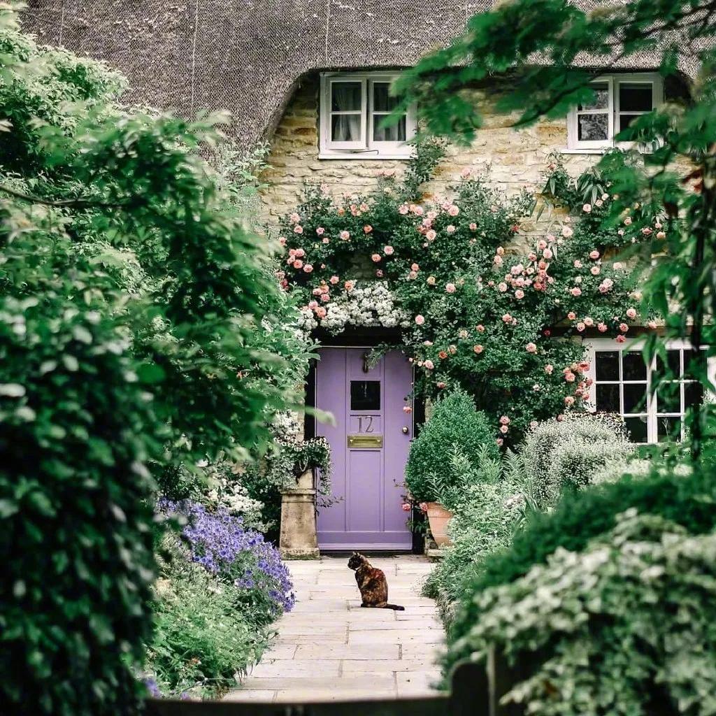 理想之家全集免费观看,理想之家智能家居体验馆