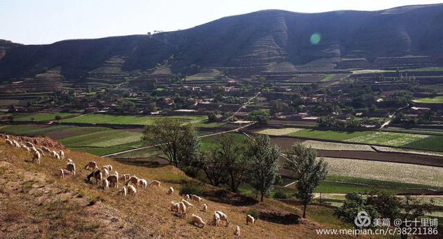 大美汨罗我的家,大美宝丰我的家