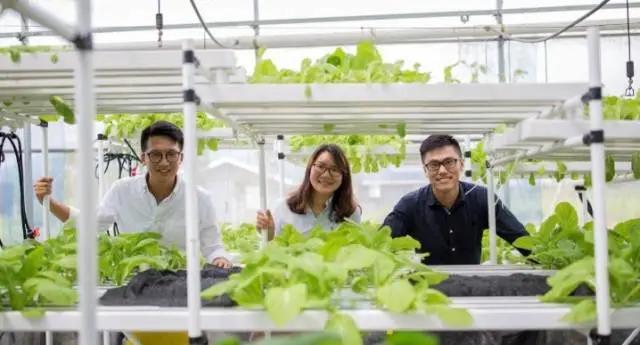 乡村创业者返乡崛起的新力量,返乡入乡创业进入高质量发展阶段