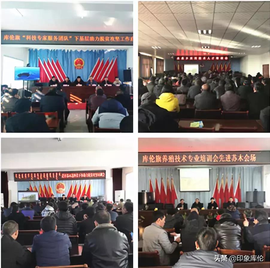 库伦旗头条新闻,库伦镇今天新闻