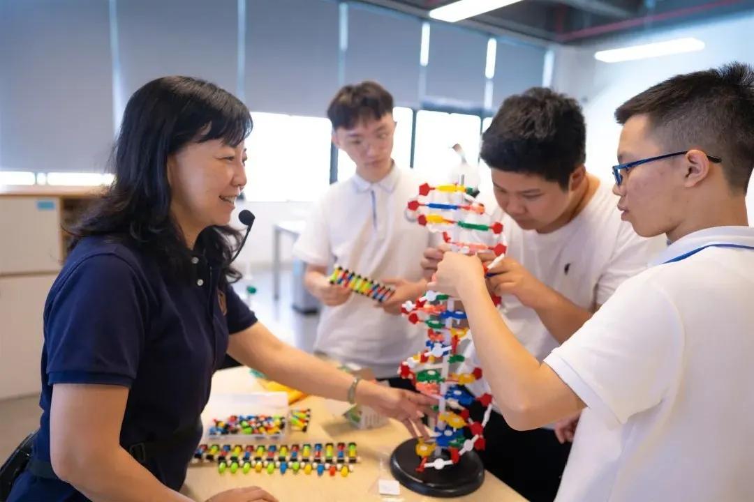 深圳中新中学校,深圳新中外国语学校