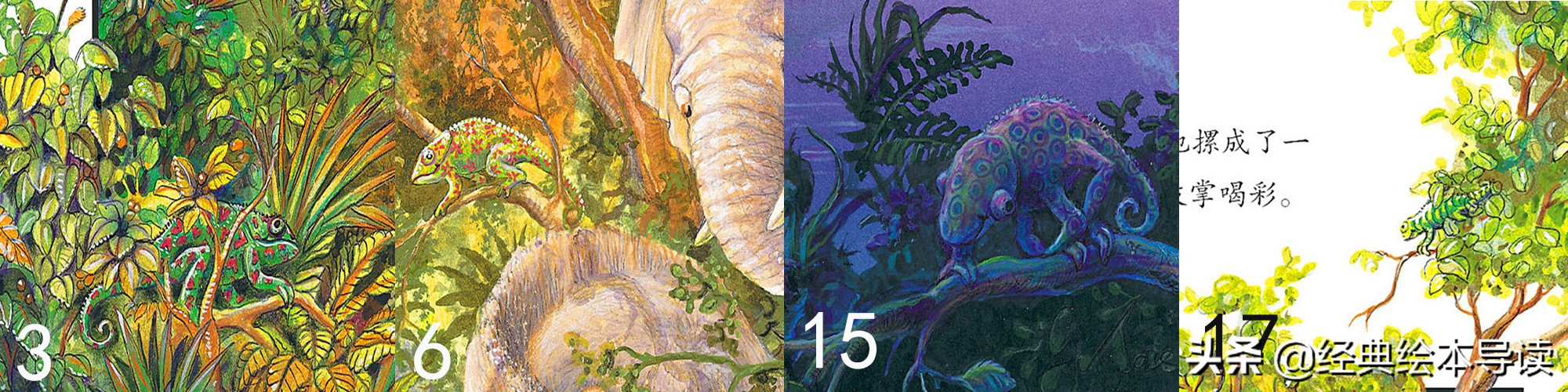 “弱势”与卑微生命的愿望——《阿吉的许愿鼓》导读