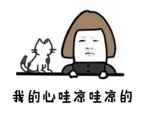 买狗不能说的话你踩坑了吗,为什么狗市买的狗说活不过三个月