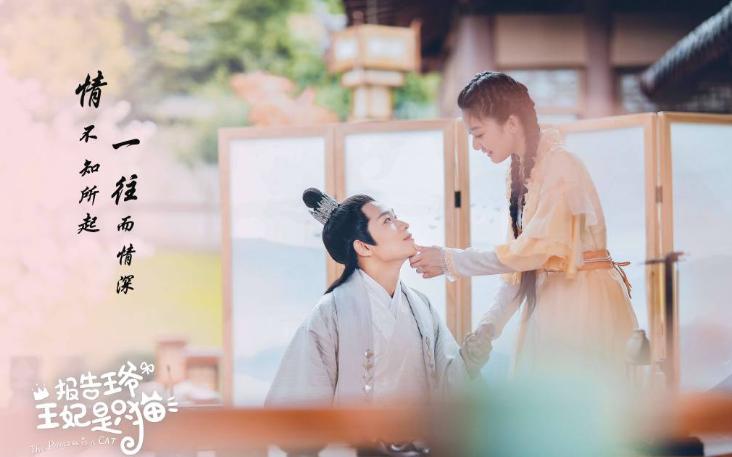 王妃是只猫袁雨萱的吻戏,报告王爷王妃是只猫袁雨萱花絮