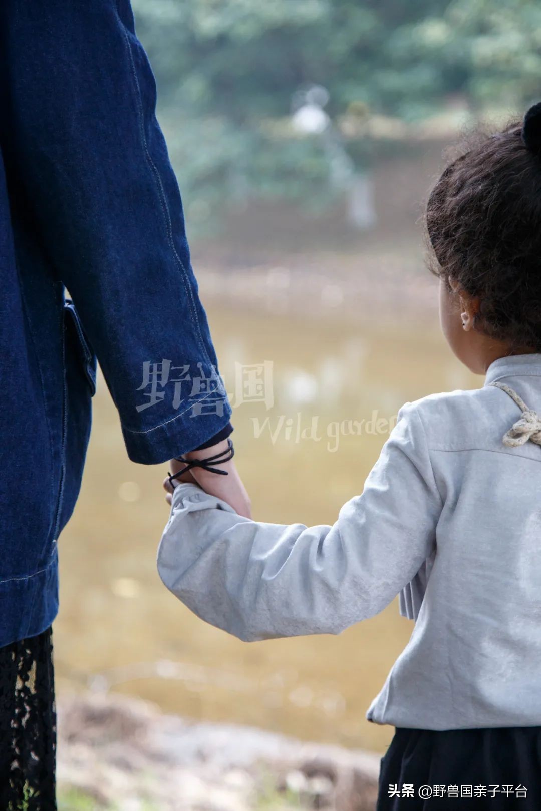 松山湖风景区松湖烟雨是哪个门,松山湖景区松湖烟雨有哪些好玩的