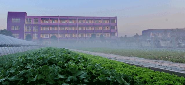 【扩散】一张一驰，文武斌心——民办斌心学校2020招生公告