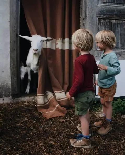 她放弃城市生活，一家人搬到乡下田园：自给自足