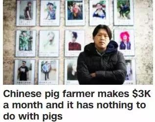 农民养猪为何难以致富,养猪致富案例视频