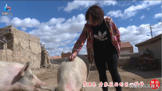 张家口莜面历史,北京人吃莜面是从什么时候开始的