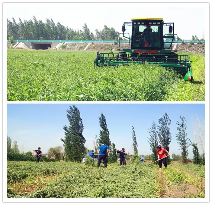 优化访惠聚驻村工作队,自治区访惠聚工作队队员驻村时间