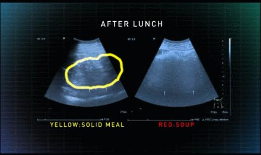 bbc发现新大陆纪录片,bbc纪录片宇宙的奇迹内容