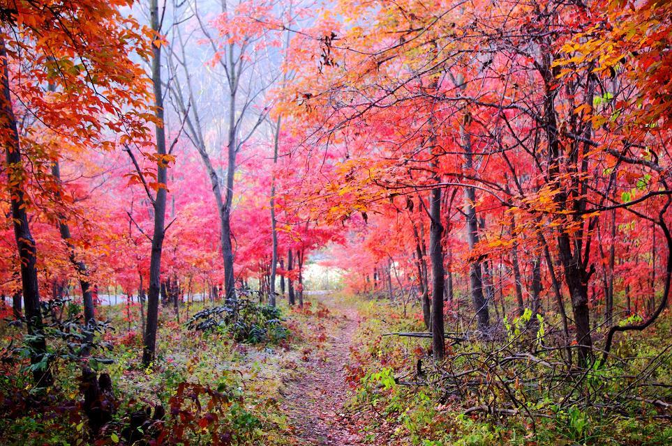 十一沿途风景,十一去红叶谷的景致