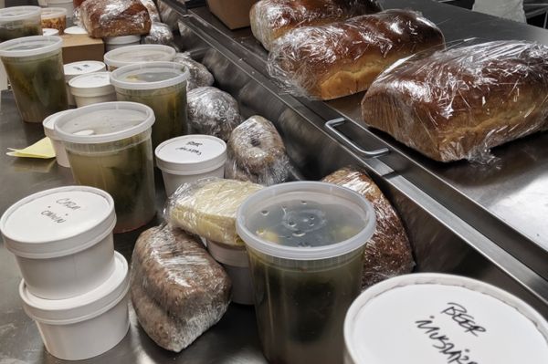 波士顿新冠疫情,波士顿龙虾新冠病毒