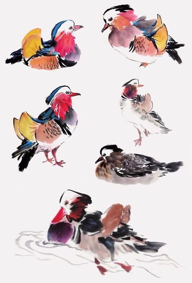 国画怎么把鸟画的活灵活现,如何画鸟要好看