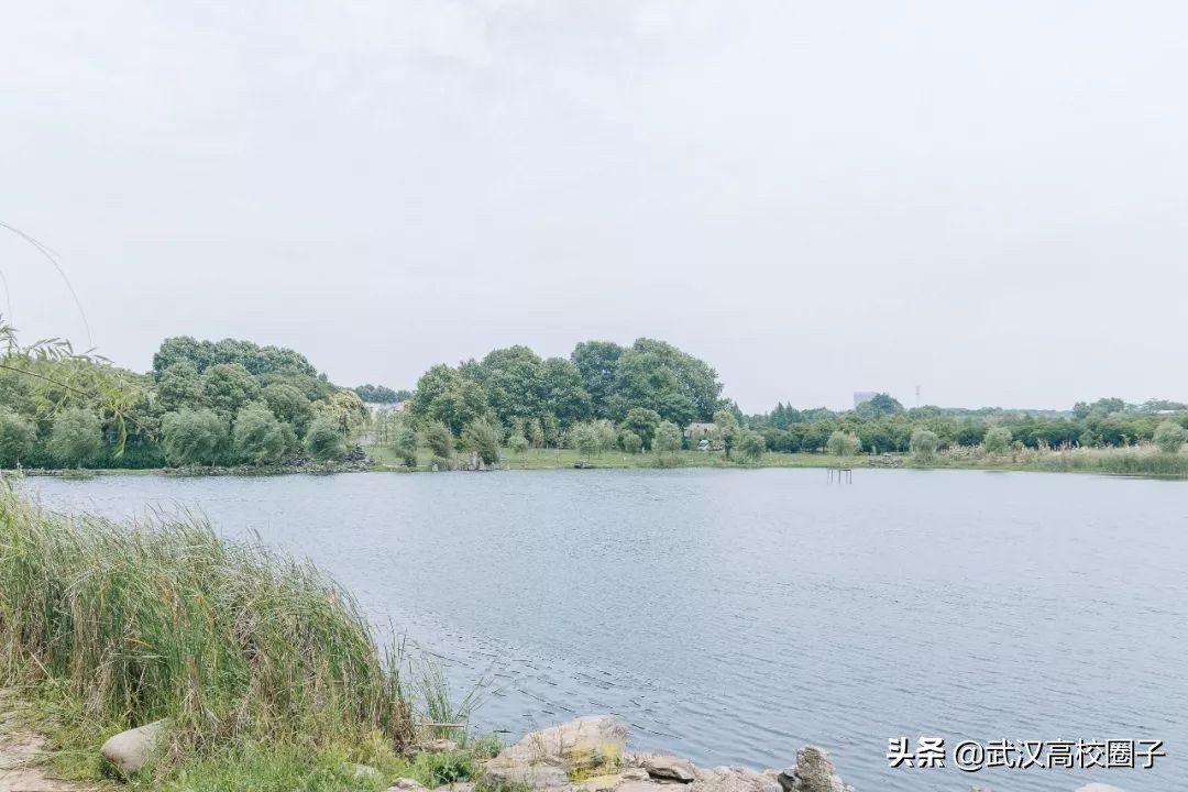 爸妈我想回家视频,爸妈我想回家了原视频