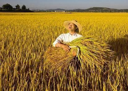 马云说2019年怎样致富,马云预测农村未来哪个行业最好