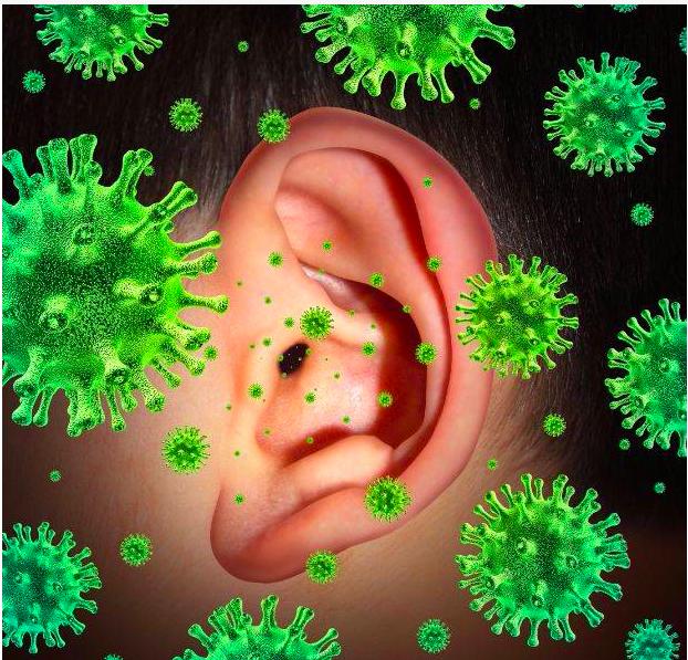 在显微镜下的耳屎有多脏,把耳屎放在显微镜下是什么