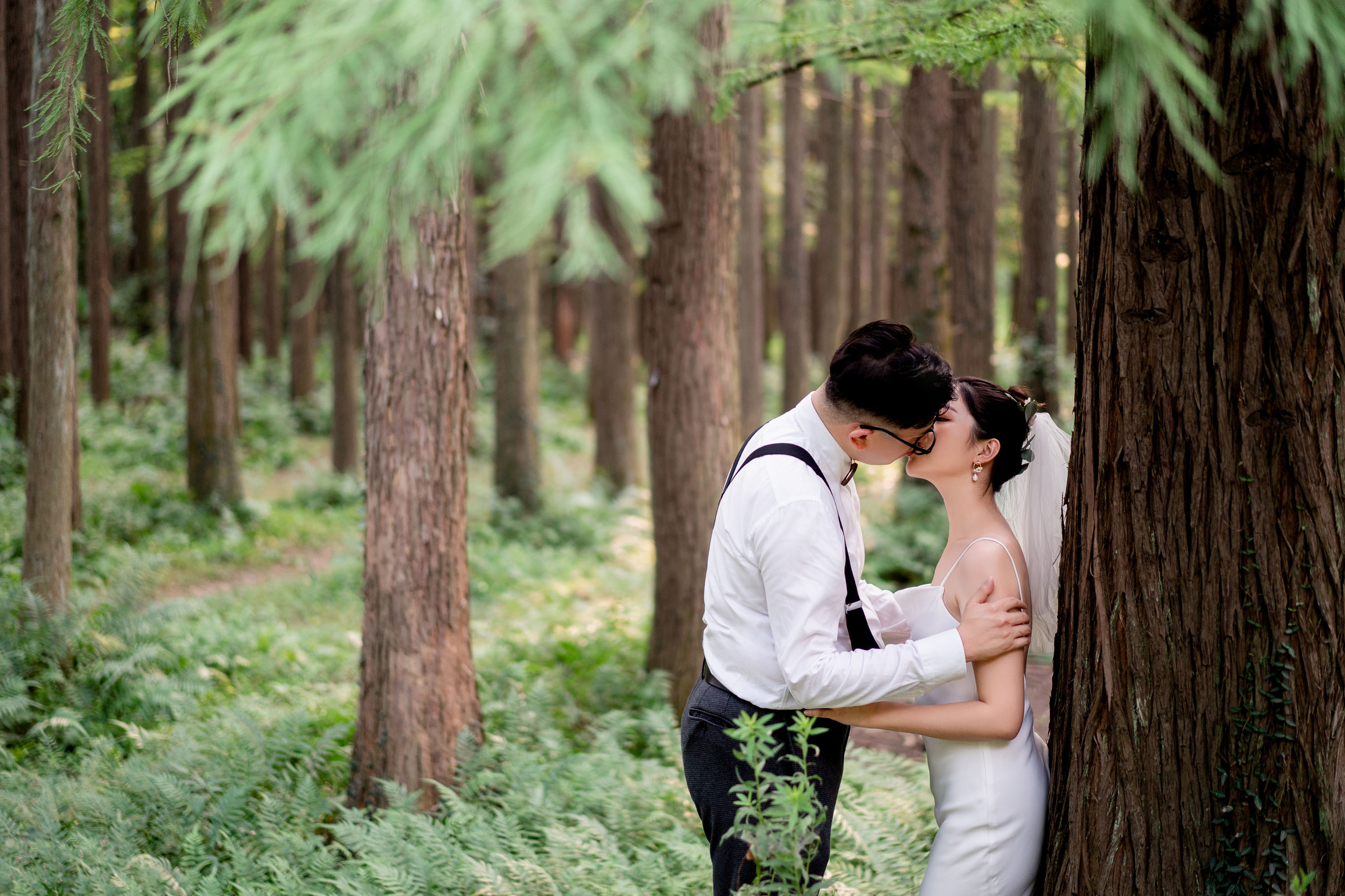苹果手机摄影自学入门,拍照摄影入门教程自学