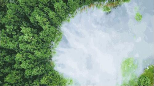 花水湾温泉酒店别墅,花水湾五星酒店