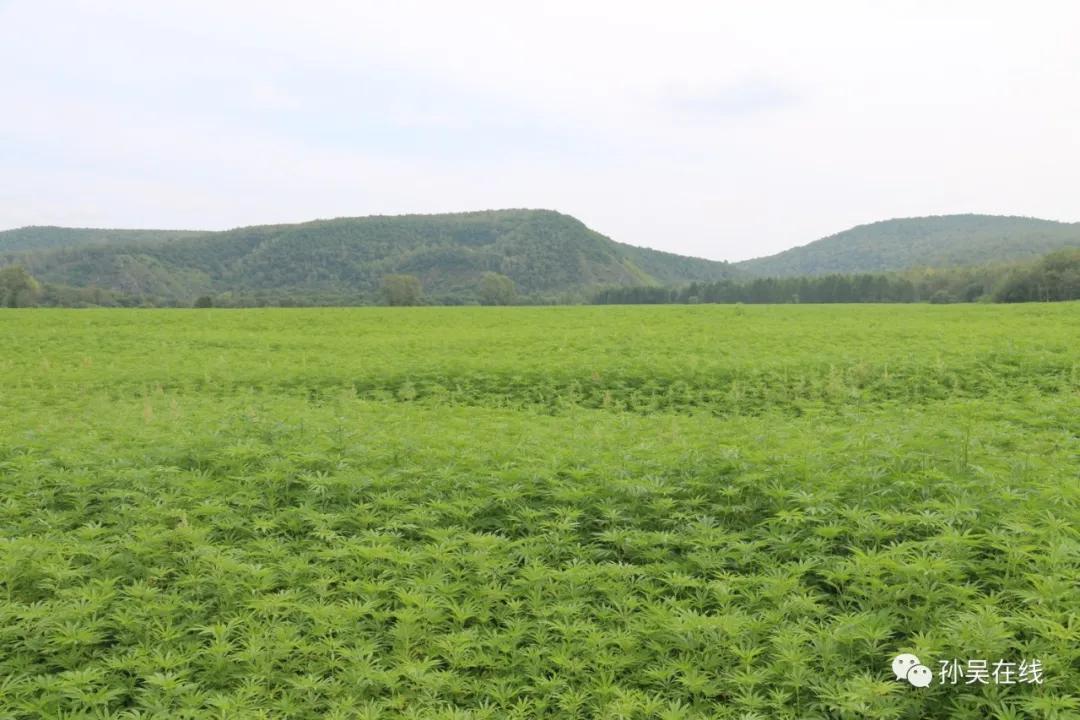 走向我们的小康生活红山窑,走向我们的小康生活这条路