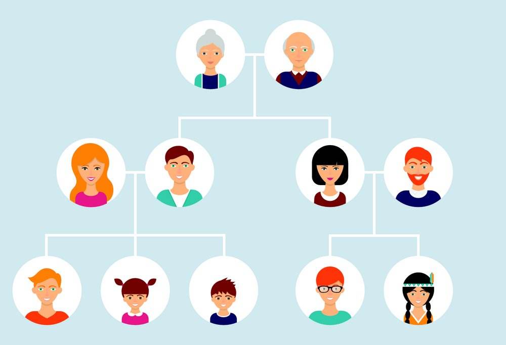 春节一家欢聚之后，是时候制作家谱梳理一下亲缘网络了！