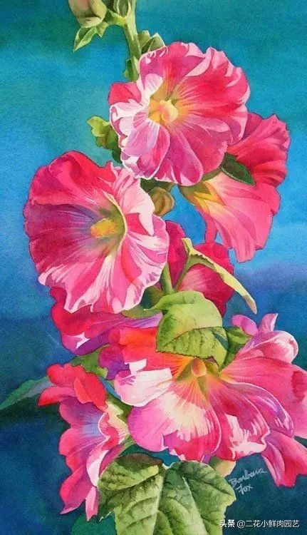 100种花卉绘画,100多张花卉线描手稿素材赶快收藏