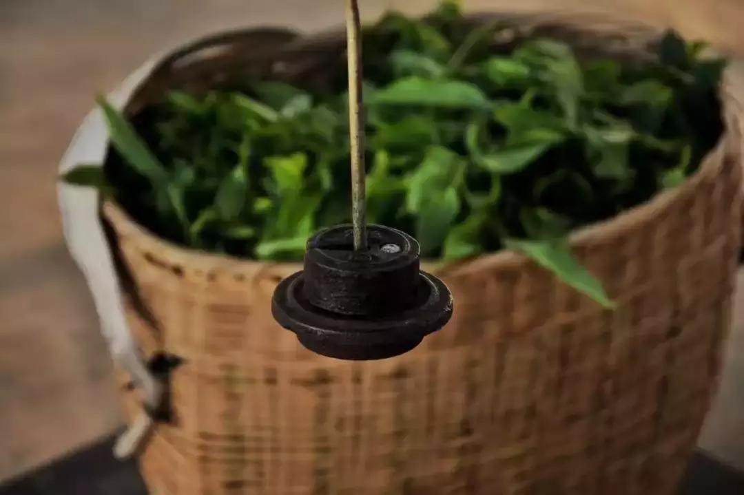 勐库茶区普洱茶,茶话普洱