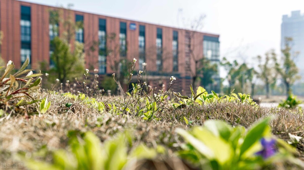 理科592分，全省5700多位，超出一本线141分，为什么选择二本院校