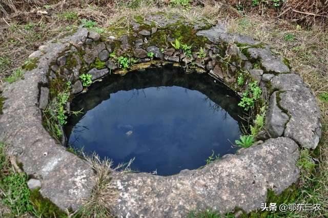 农村过去水井里，为什么总要养几条小鱼，挑水时候先看看鱼再挑？