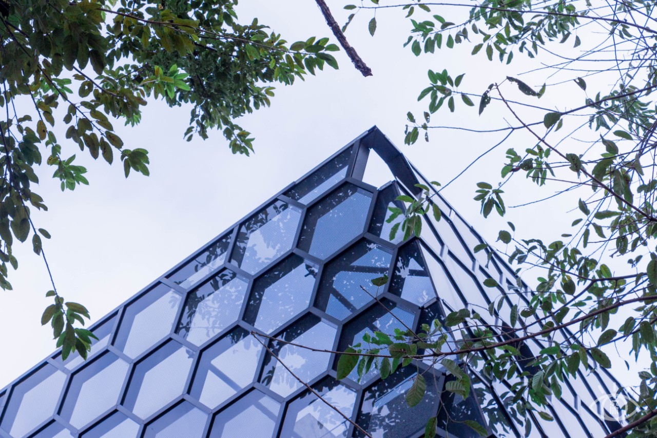 深圳福田美术馆,深圳艺术博物馆有什么值得看的